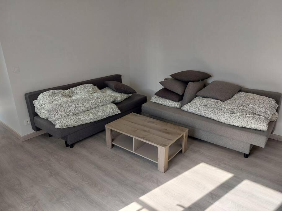 Appartement Independant A ル・ブラン・メニル エクステリア 写真