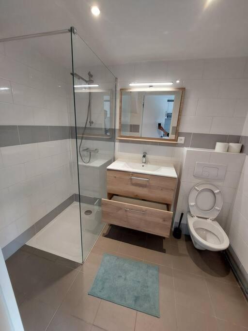 Appartement Independant A ル・ブラン・メニル エクステリア 写真